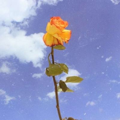 无限派对游戏下载