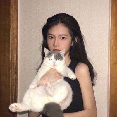 冒险与挖矿手游魅族版下载
